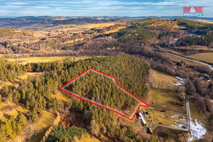 Prodej lesa, Malenice, 13448 m2