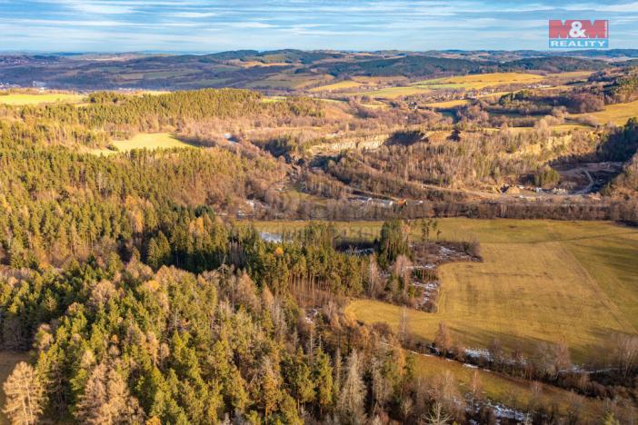 Prodej lesa, Malenice, 13448 m2