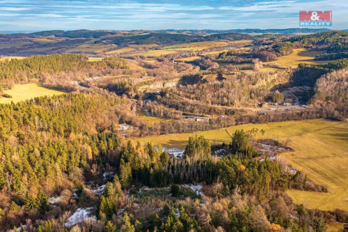 Prodej lesa, Malenice, 30891 m2