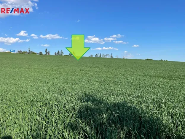 Prodej zemědělské půdy, Bystročice, 7076 m2