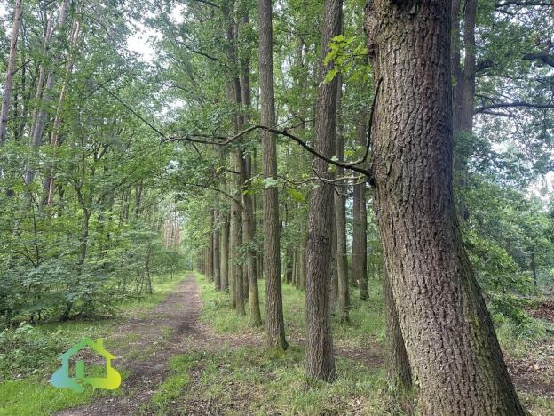 Prodej pozemku pro bydlení, Klenovice, 1132 m2