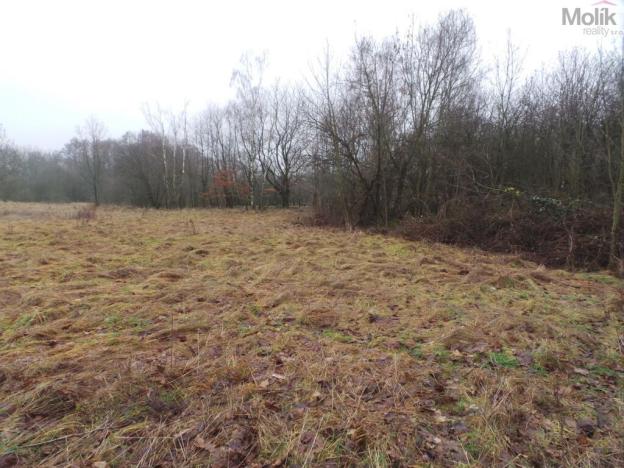 Prodej pozemku pro bydlení, Krupka - Vrchoslav, Slunečná, 6694 m2