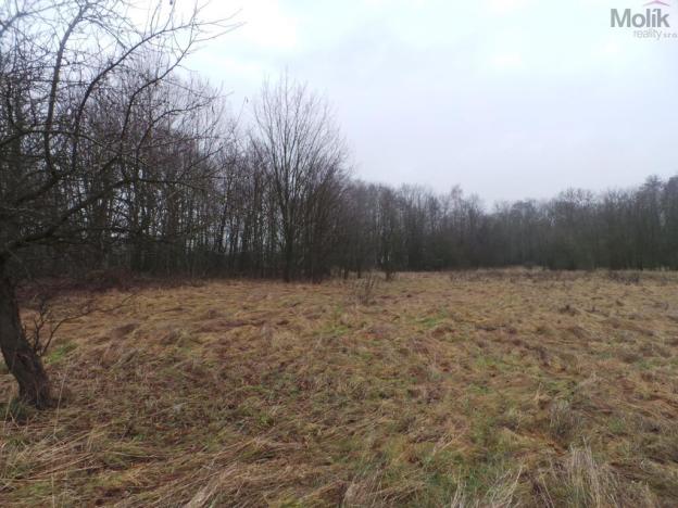 Prodej komerčního pozemku, Krupka - Vrchoslav, Slunečná, 9445 m2