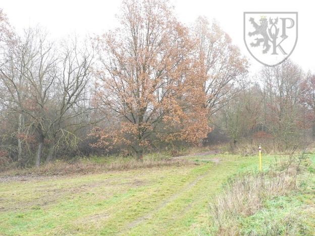 Prodej pozemku, Blatná, 3100 m2