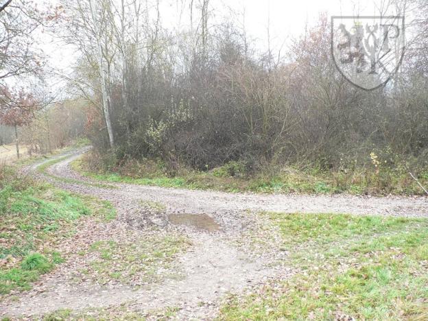 Prodej pozemku, Blatná, 3100 m2