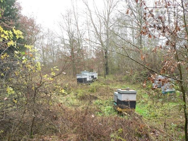 Prodej pozemku, Blatná, 3100 m2