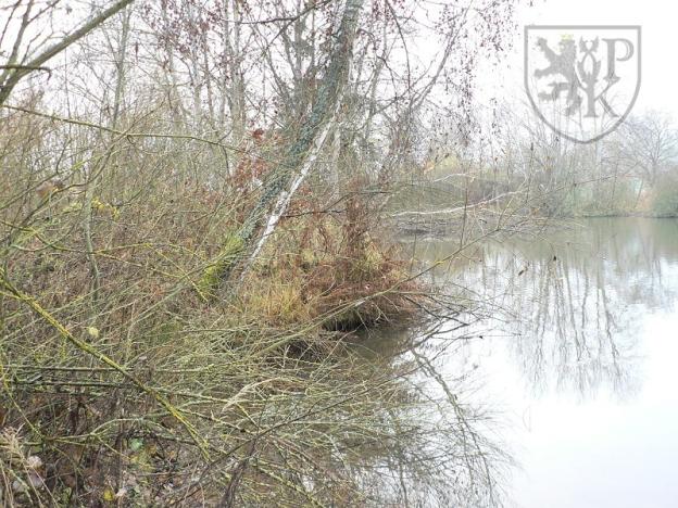 Prodej pozemku, Blatná, 3100 m2