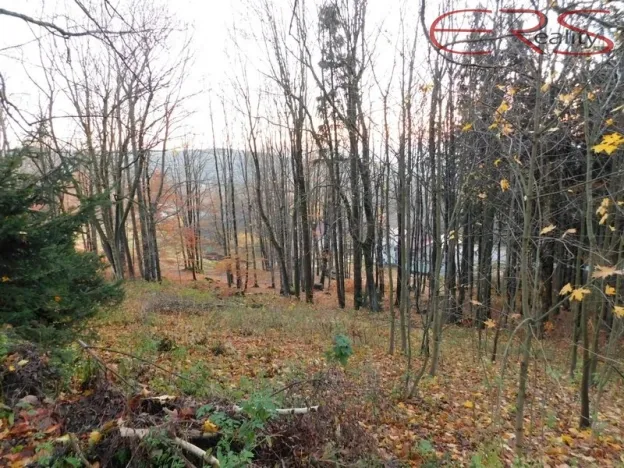 Prodej louky, Lučany nad Nisou - Horní Maxov, 3165 m2