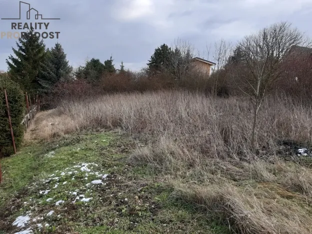 Prodej trvalého travního porostu, Chbany, 585 m2