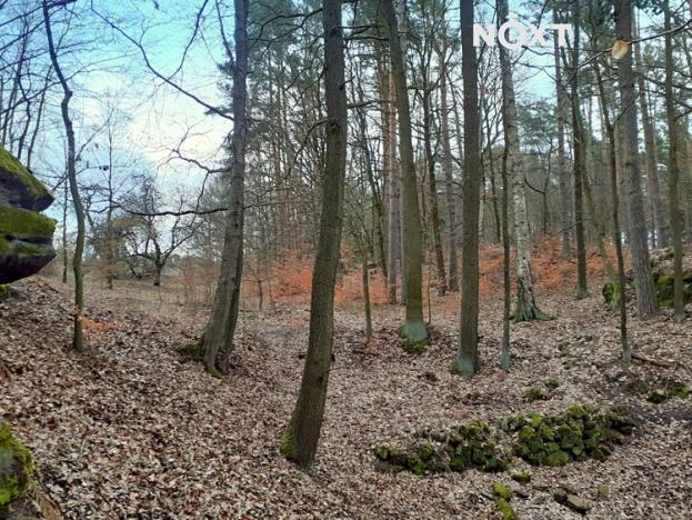 Prodej zahrady, Provodín, 1453 m2