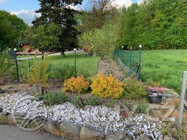 Prodej zemědělské půdy, Horní Bludovice, 6075 m2