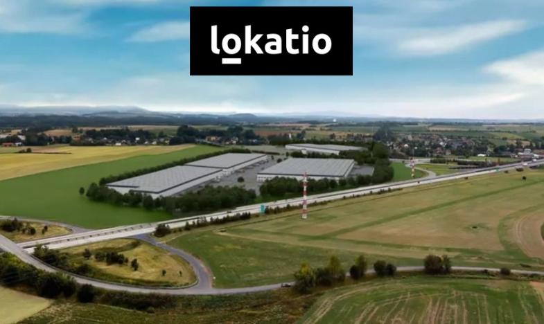 Pronájem výrobních prostor, Hladké Životice, 10000 m2