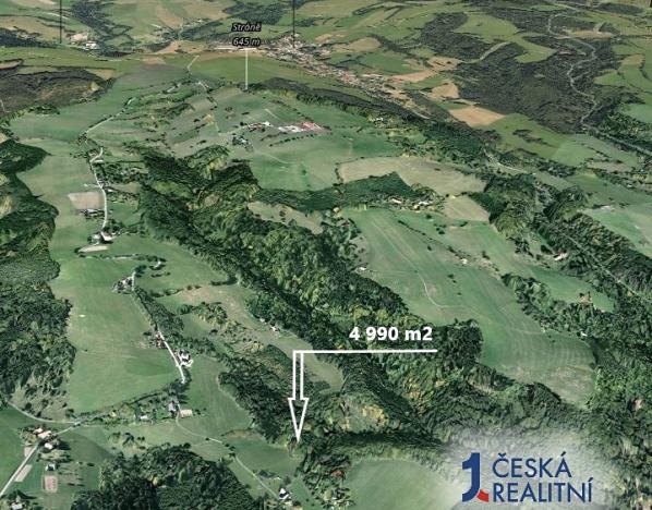 Prodej lesa, Vševily, 4990 m2