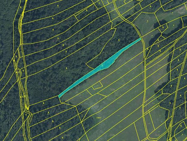 Prodej podílu lesa, Fulnek, 2132 m2