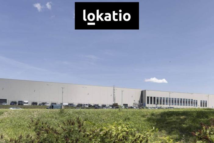 Pronájem skladu, Ostrava, 14247 m2