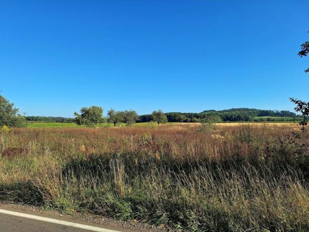 Prodej zemědělské půdy, Mnichovo Hradiště - Sychrov, 140145 m2