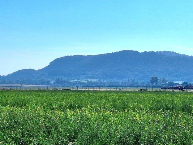 Prodej zemědělské půdy, Mnichovo Hradiště - Sychrov, 140145 m2