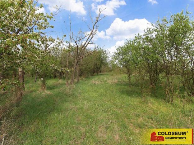 Prodej pozemku, Znojmo - Oblekovice, 16843 m2