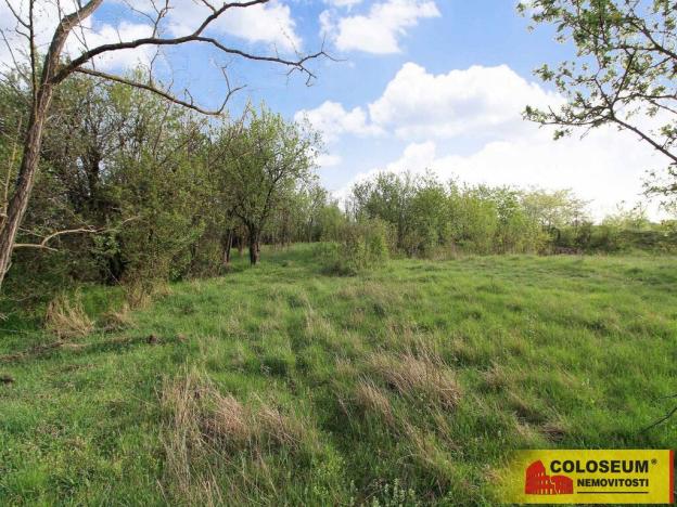 Prodej pozemku, Znojmo - Oblekovice, 16843 m2