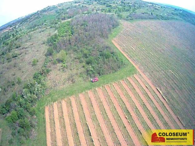 Prodej pozemku, Znojmo - Oblekovice, 16843 m2