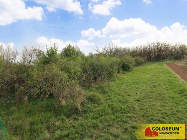 Prodej pozemku, Znojmo - Oblekovice, 16843 m2