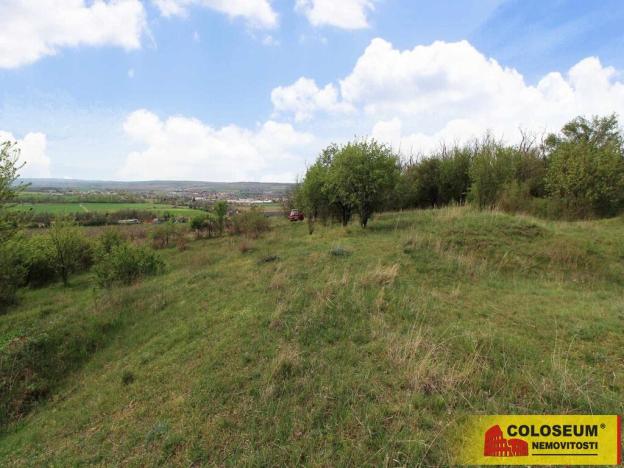 Prodej pozemku, Znojmo - Oblekovice, 16843 m2