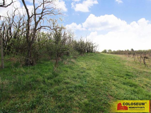 Prodej pozemku, Znojmo - Oblekovice, 16843 m2