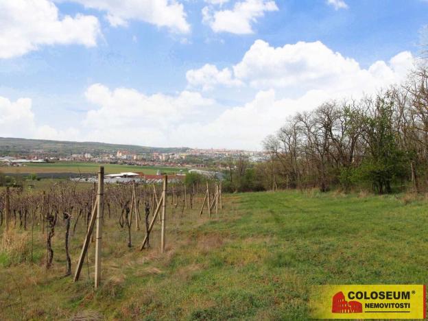 Prodej pozemku, Znojmo - Oblekovice, 16843 m2