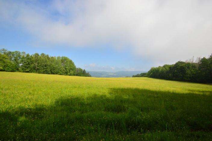 Prodej trvalého travního porostu, Heřmanov, Heřmanov, 96032 m2