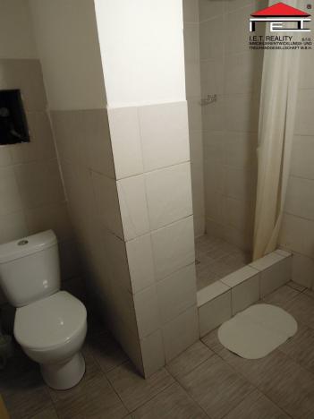 Prodej skladu, Orlová - Poruba, Těšínská, 7797 m2