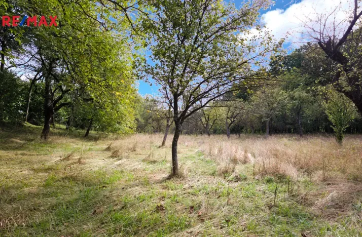 Prodej pozemku pro bydlení, Březnice, 2661 m2