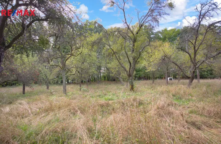 Prodej pozemku pro bydlení, Březnice, 2661 m2