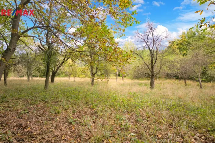 Prodej pozemku pro bydlení, Březnice, 2661 m2