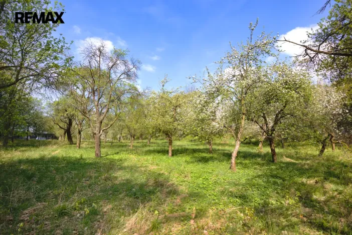 Prodej pozemku pro bydlení, Březnice, 2661 m2