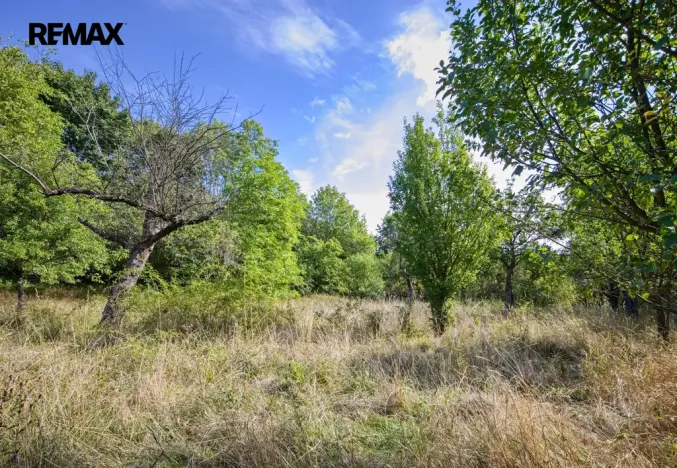 Prodej pozemku pro bydlení, Březnice, 2661 m2