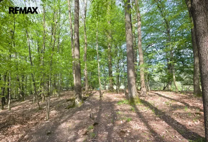 Prodej pozemku pro bydlení, Březnice, 2661 m2