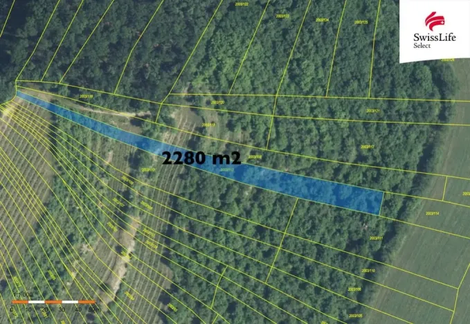 Prodej pozemku pro komerční výstavbu, Brumovice, 3394 m2