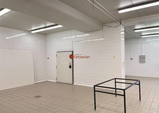 Pronájem výrobních prostor, Jičín - Valdické Předměstí, Dělnická, 178 m2