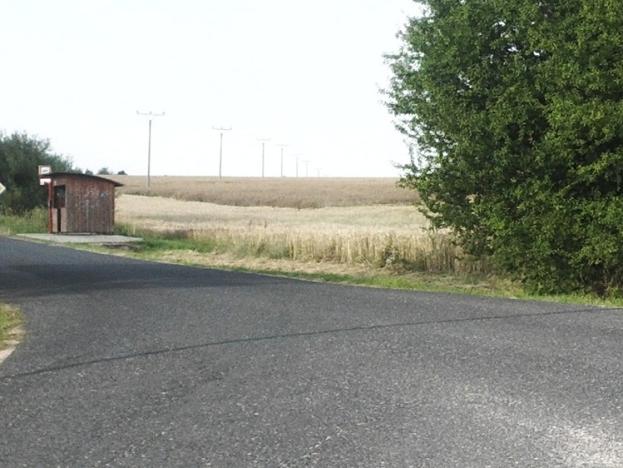 Prodej pozemku, Jevany, Rekreační, 56083 m2