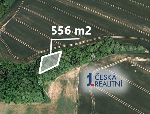 Prodej lesa, Kněžice, 556 m2