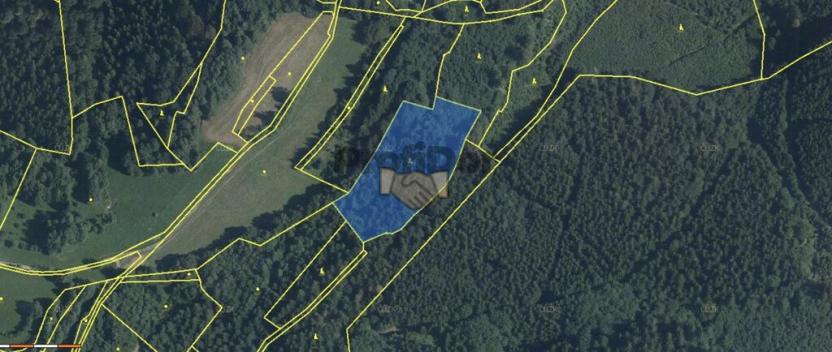 Prodej lesa, Janová, 8457 m2