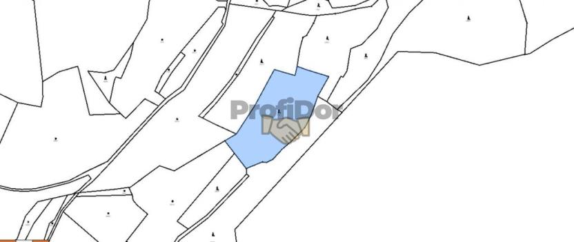 Prodej lesa, Janová, 8457 m2