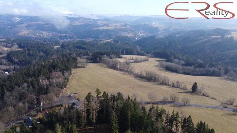 Prodej rodinného domu, Zásada, 200 m2