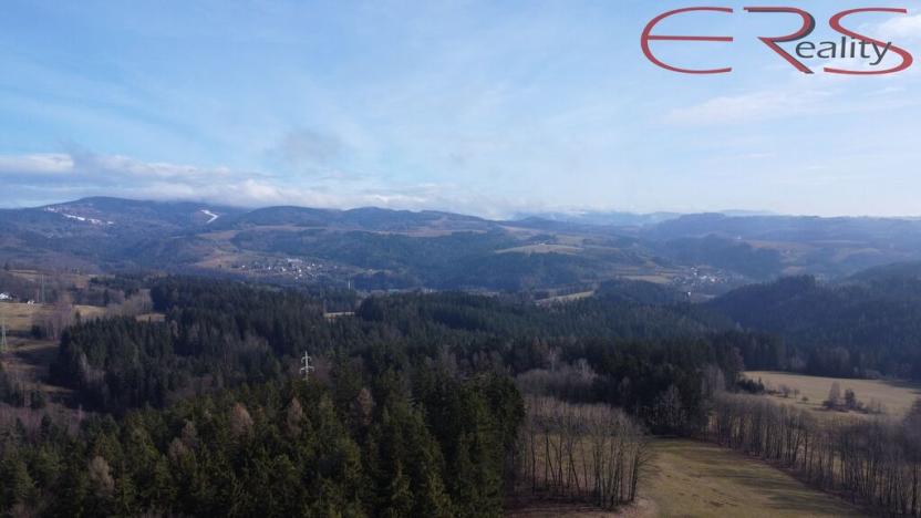 Prodej rodinného domu, Zásada, 200 m2