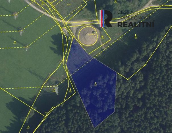 Prodej lesa, Březová, Okružní, 6018 m2