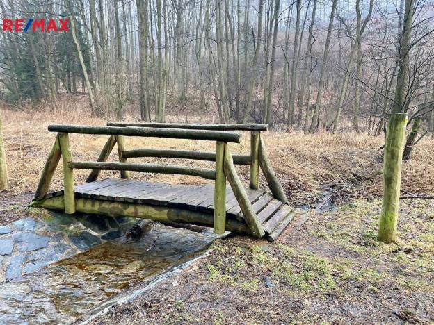 Prodej rybníku, Ondřejov, 8264 m2