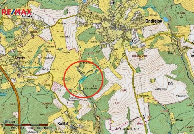 Prodej rybníku, Ondřejov, 8264 m2