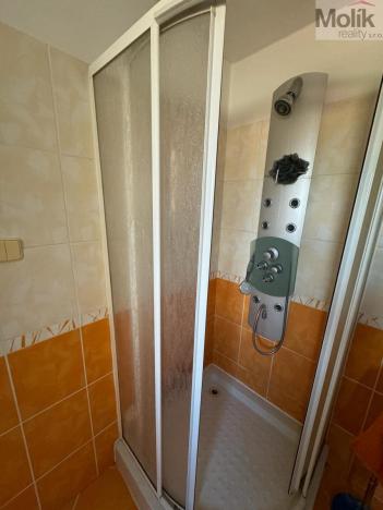 Prodej rodinného domu, Havraň, 272 m2