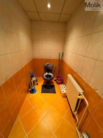 Prodej rodinného domu, Havraň, 272 m2