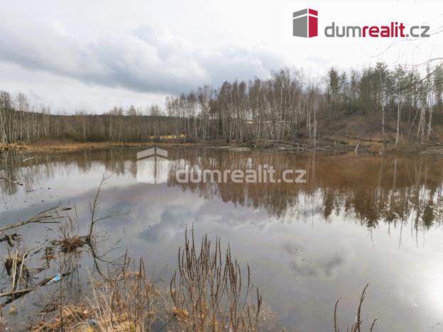 Prodej rybníku, Pomezí nad Ohří, 3974 m2